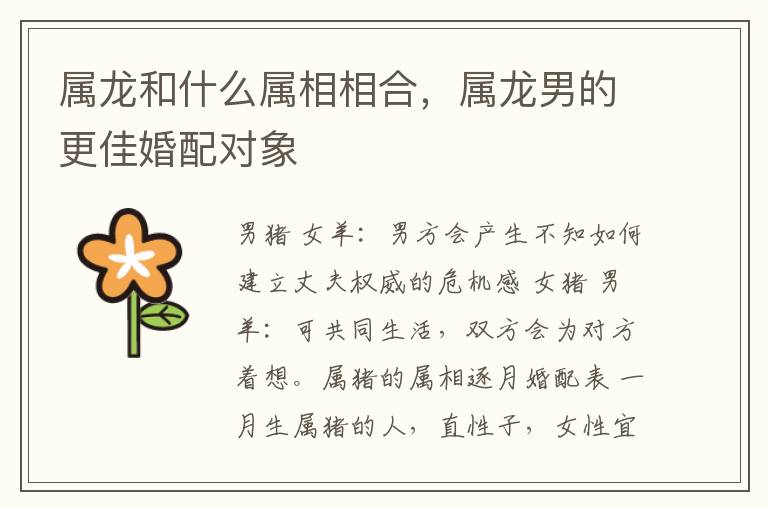 属龙和什么属相相合，属龙男的更佳婚配对象