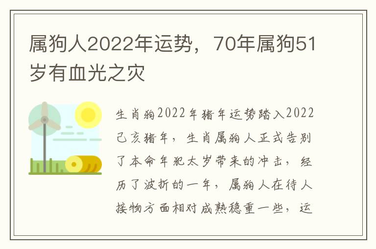 属狗人2022年运势，70年属狗51岁有血光之灾