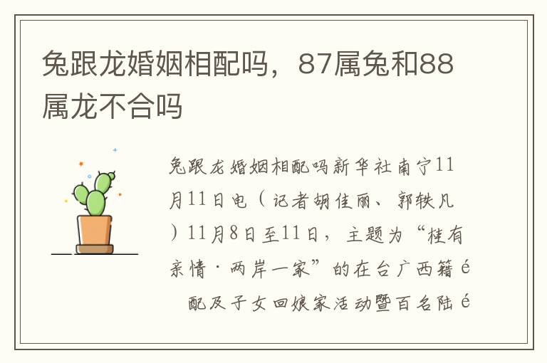 兔跟龙婚姻相配吗，87属兔和88属龙不合吗