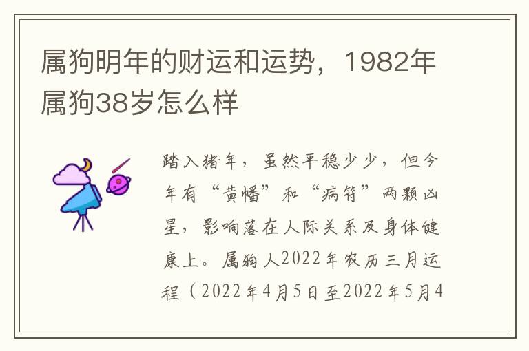 属狗明年的财运和运势，1982年属狗38岁怎么样