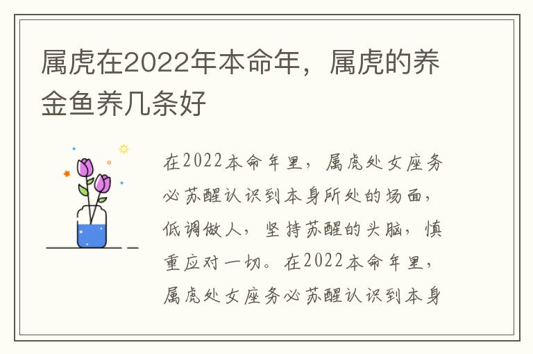 属虎在2022年本命年，属虎的养金鱼养几条好