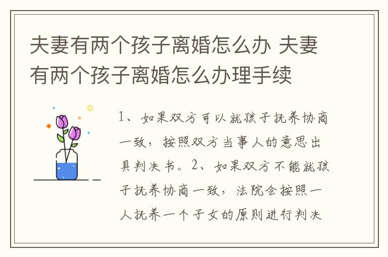 夫妻有两个孩子离婚怎么办 夫妻有两个孩子离婚怎么办理手续