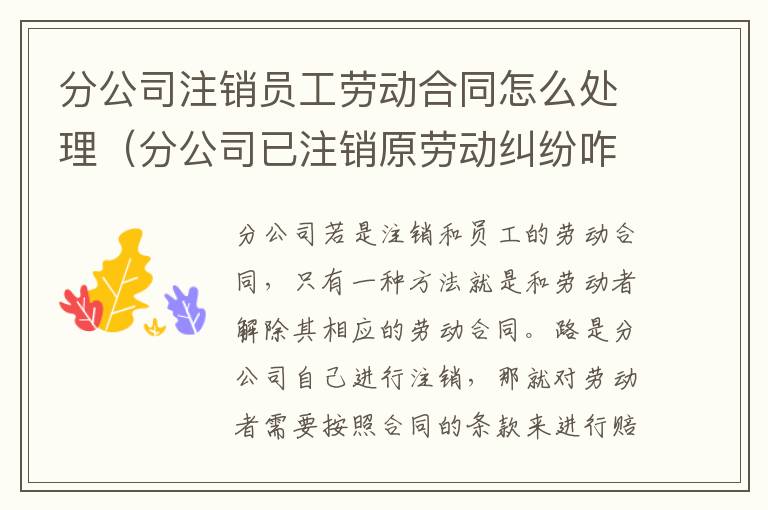 分公司注销员工劳动合同怎么处理（分公司已注销原劳动纠纷咋办）