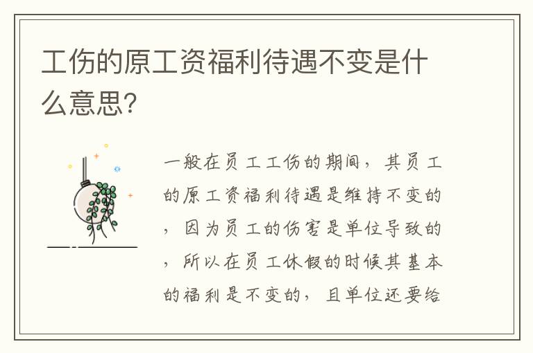 工伤的原工资福利待遇不变是什么意思？