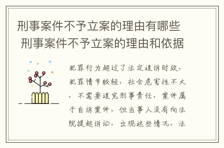 刑事案件不予立案的理由有哪些 刑事案件不予立案的理由和依据