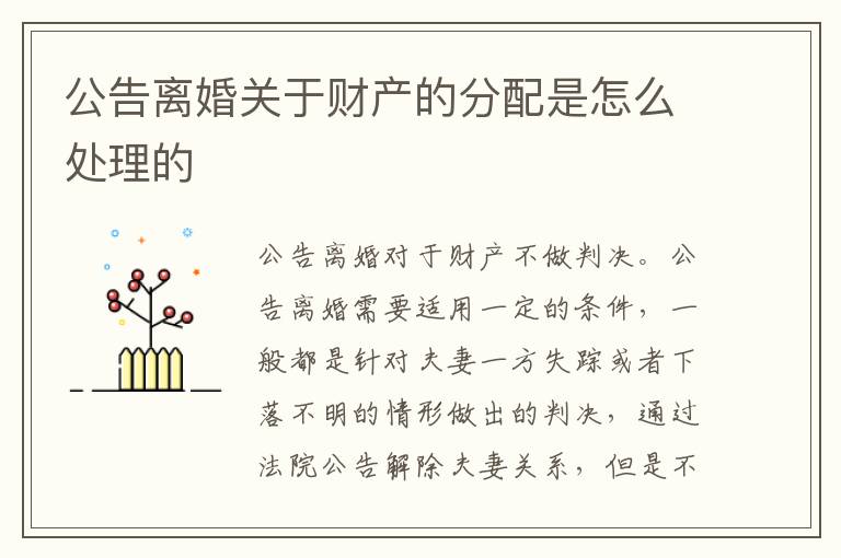 公告离婚关于财产的分配是怎么处理的