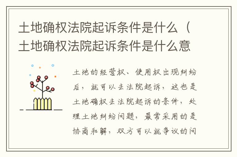 土地确权法院起诉条件是什么（土地确权法院起诉条件是什么意思）