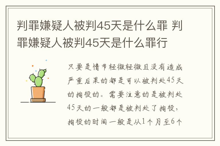 判罪嫌疑人被判45天是什么罪 判罪嫌疑人被判45天是什么罪行