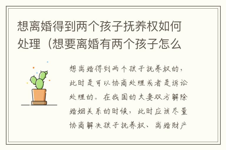 想离婚得到两个孩子抚养权如何处理（想要离婚有两个孩子怎么办）