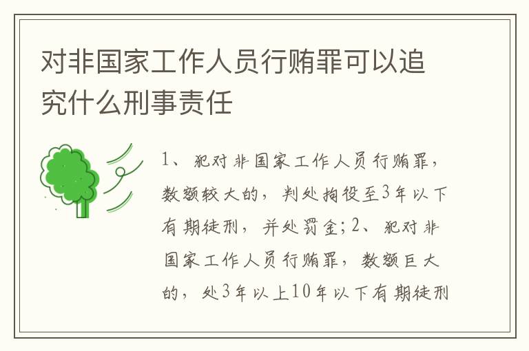 对非国家工作人员行贿罪可以追究什么刑事责任