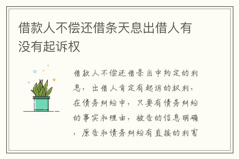 借款人不偿还借条天息出借人有没有起诉权
