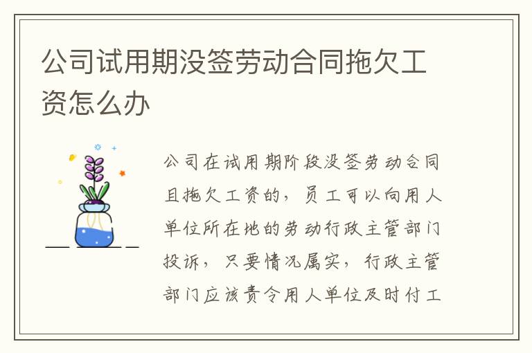 公司试用期没签劳动合同拖欠工资怎么办
