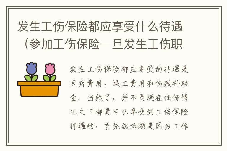发生工伤保险都应享受什么待遇（参加工伤保险一旦发生工伤职工可以得到什么）