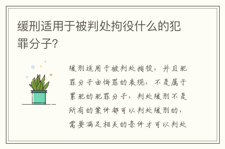 缓刑适用于被判处拘役什么的犯罪分子？