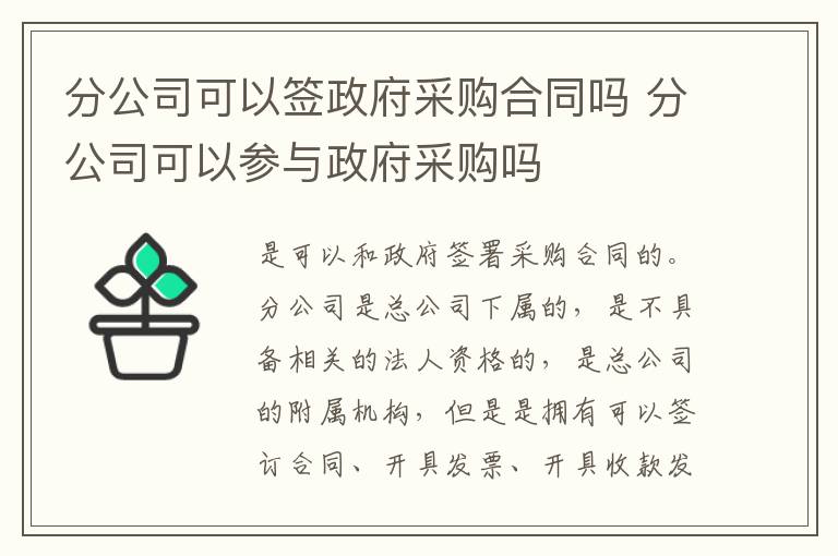 分公司可以签政府采购合同吗 分公司可以参与政府采购吗
