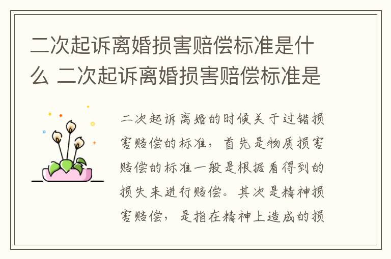 二次起诉离婚损害赔偿标准是什么 二次起诉离婚损害赔偿标准是什么意思