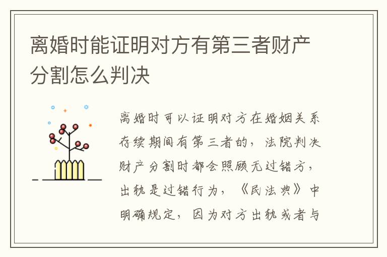 离婚时能证明对方有第三者财产分割怎么判决