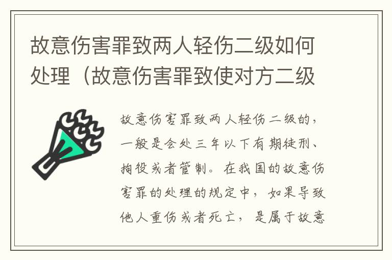 故意伤害罪致两人轻伤二级如何处理（故意伤害罪致使对方二级轻伤怎么判）