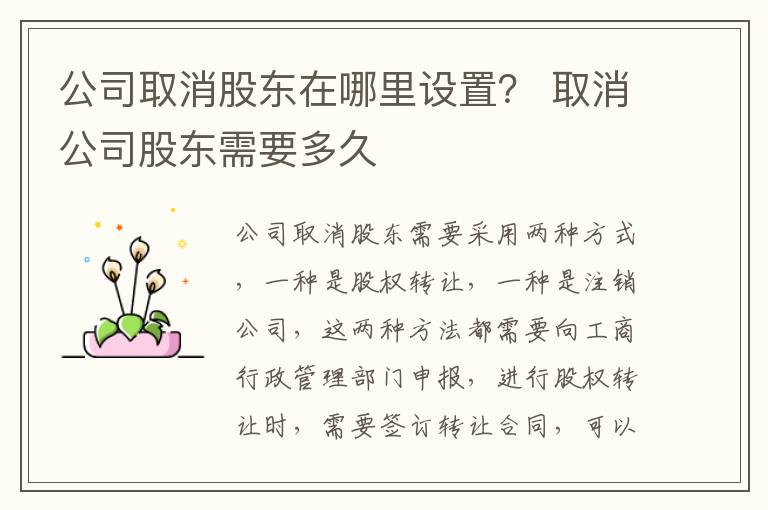 公司取消股东在哪里设置？ 取消公司股东需要多久