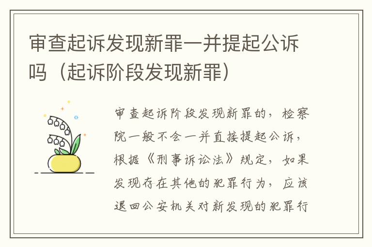审查起诉发现新罪一并提起公诉吗（起诉阶段发现新罪）