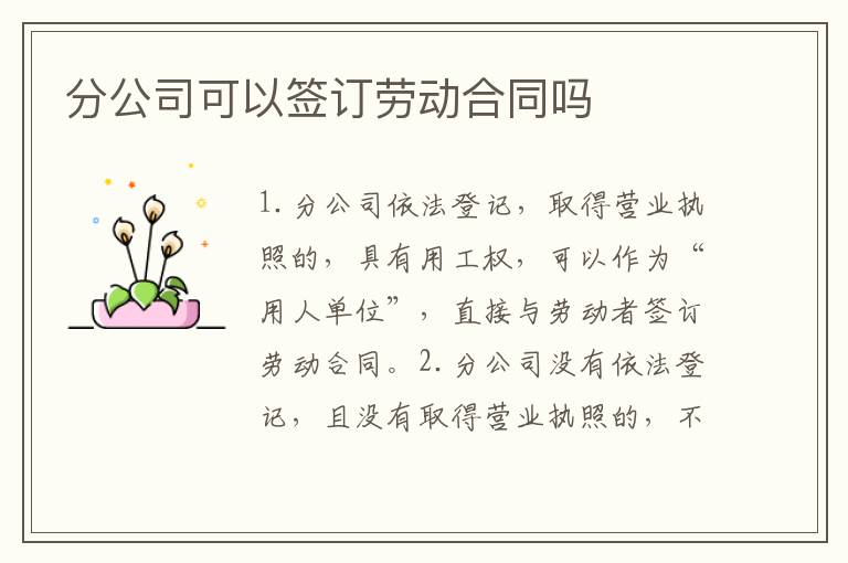 分公司可以签订劳动合同吗