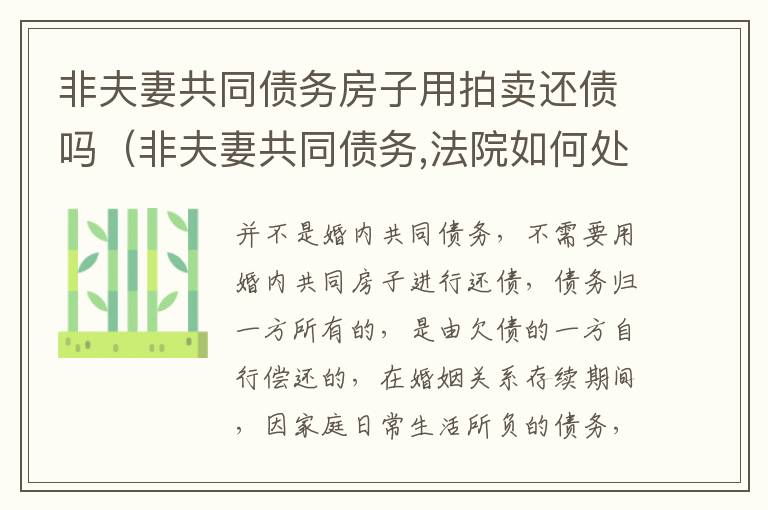 非夫妻共同债务房子用拍卖还债吗（非夫妻共同债务,法院如何处理）