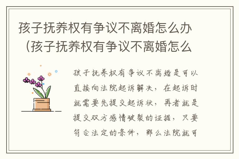 孩子抚养权有争议不离婚怎么办（孩子抚养权有争议不离婚怎么办呢）