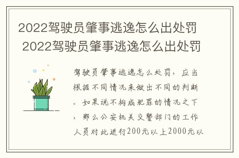 2022驾驶员肇事逃逸怎么出处罚 2022驾驶员肇事逃逸怎么出处罚决定书