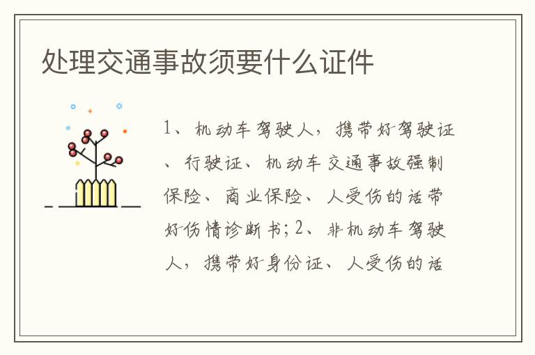 处理交通事故须要什么证件