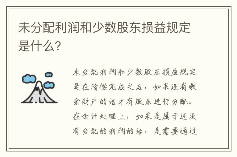 未分配利润和少数股东损益规定是什么？