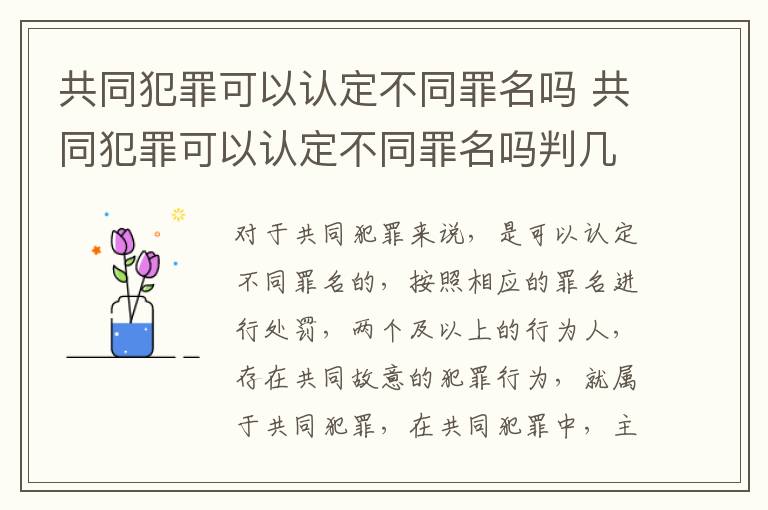 共同犯罪可以认定不同罪名吗 共同犯罪可以认定不同罪名吗判几年