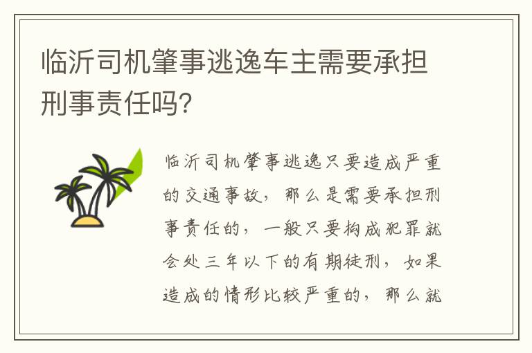 临沂司机肇事逃逸车主需要承担刑事责任吗？
