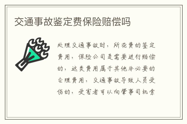 交通事故鉴定费保险赔偿吗