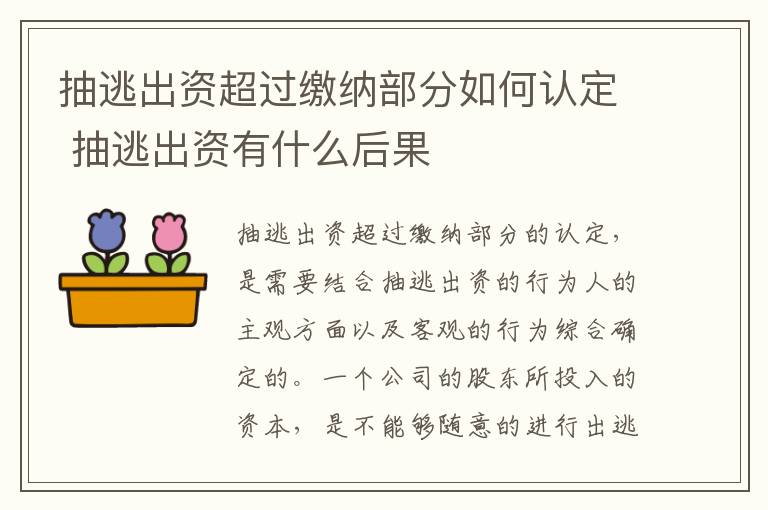 抽逃出资超过缴纳部分如何认定 抽逃出资有什么后果