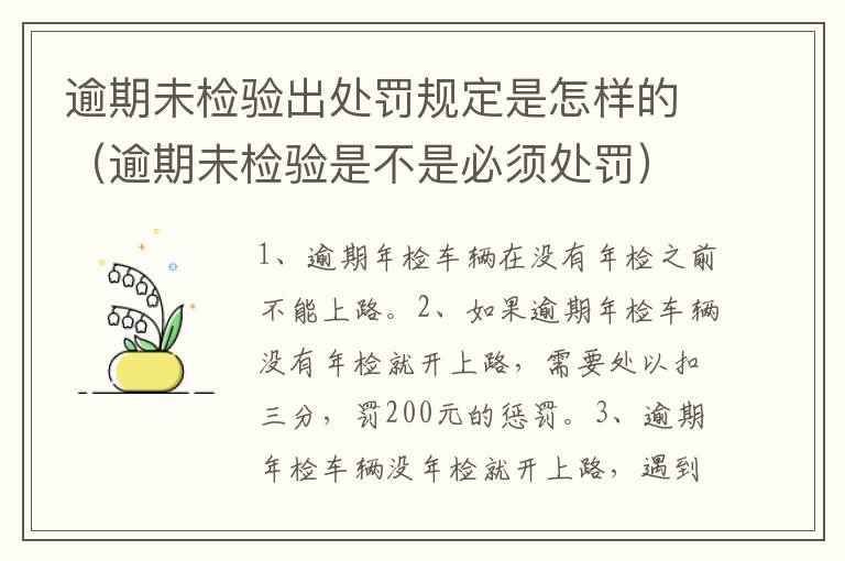 逾期未检验出处罚规定是怎样的（逾期未检验是不是必须处罚）
