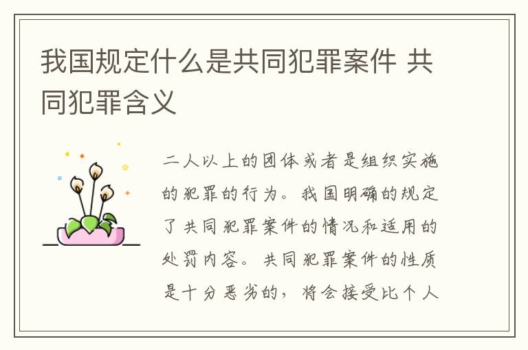我国规定什么是共同犯罪案件 共同犯罪含义