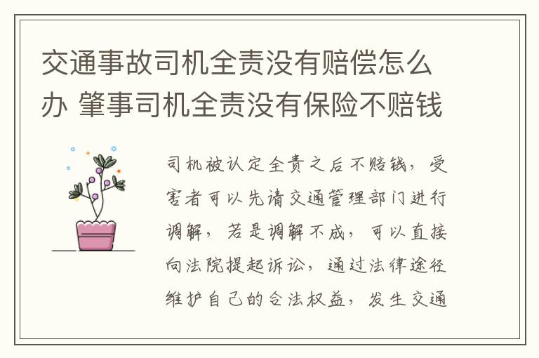 交通事故司机全责没有赔偿怎么办 肇事司机全责没有保险不赔钱怎么办