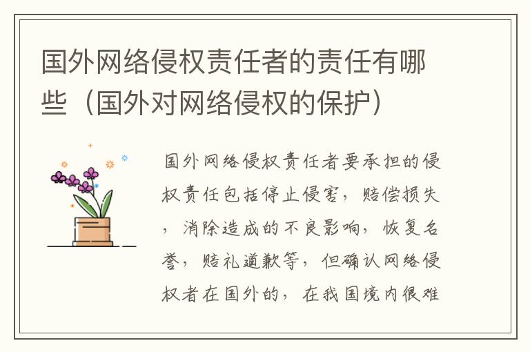 国外网络侵权责任者的责任有哪些（国外对网络侵权的保护）