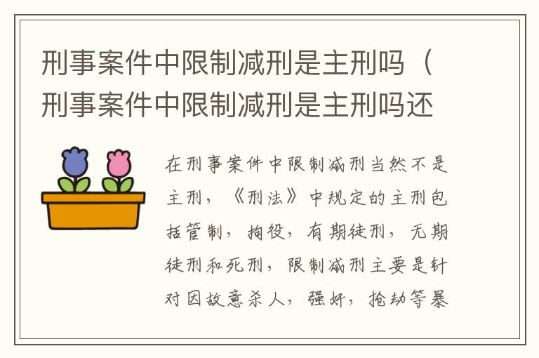 刑事案件中限制减刑是主刑吗（刑事案件中限制减刑是主刑吗还是辅刑）