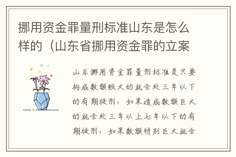 挪用资金罪量刑标准山东是怎么样的（山东省挪用资金罪的立案标准）