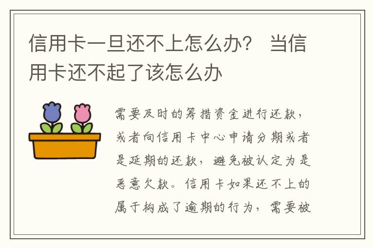 信用卡一旦还不上怎么办？ 当信用卡还不起了该怎么办