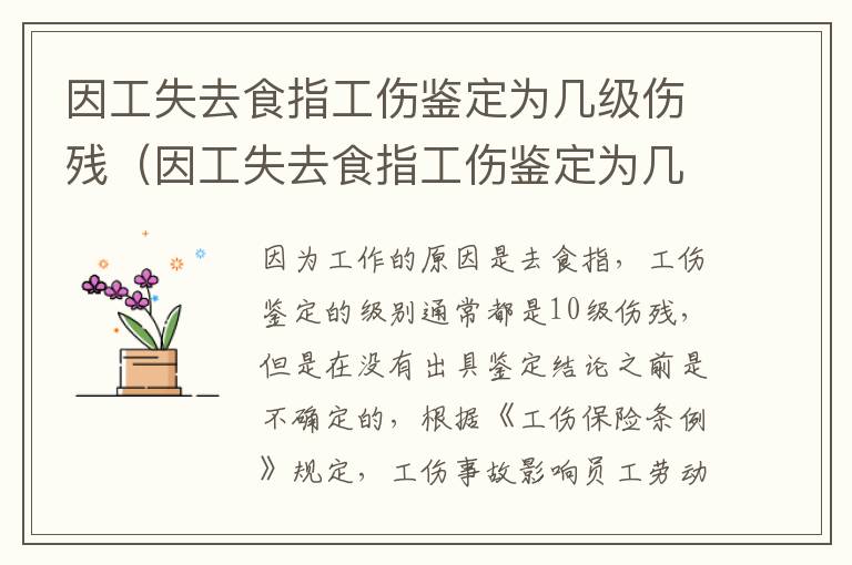因工失去食指工伤鉴定为几级伤残（因工失去食指工伤鉴定为几级伤残标准）
