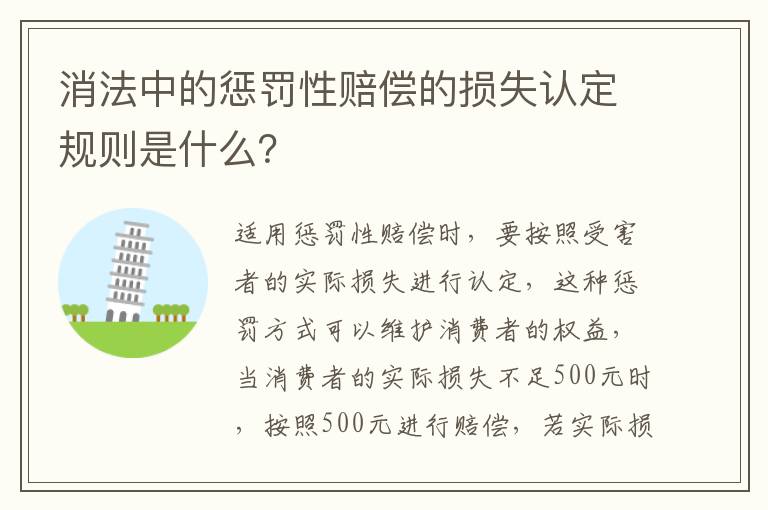 消法中的惩罚性赔偿的损失认定规则是什么？