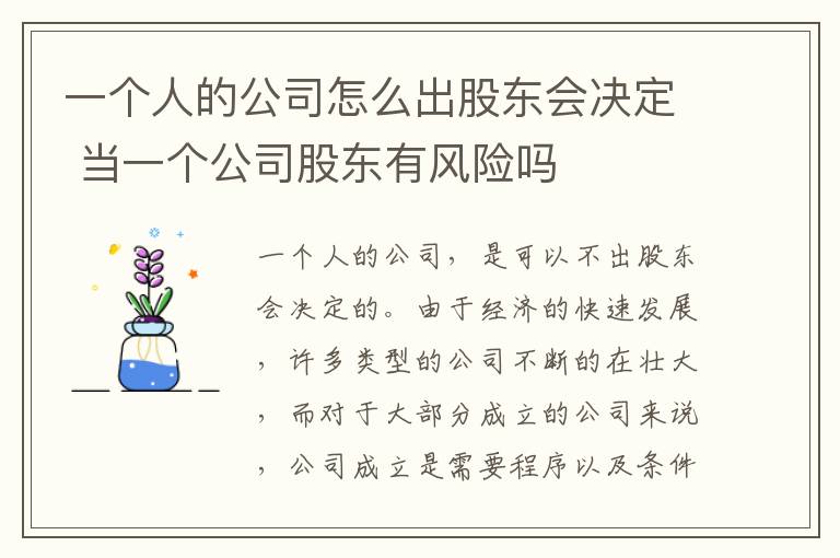 一个人的公司怎么出股东会决定 当一个公司股东有风险吗