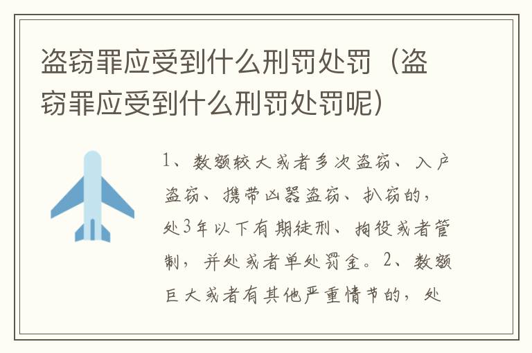 盗窃罪应受到什么刑罚处罚（盗窃罪应受到什么刑罚处罚呢）