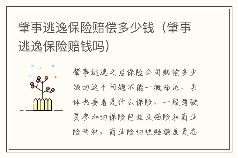 肇事逃逸保险赔偿多少钱（肇事逃逸保险赔钱吗）