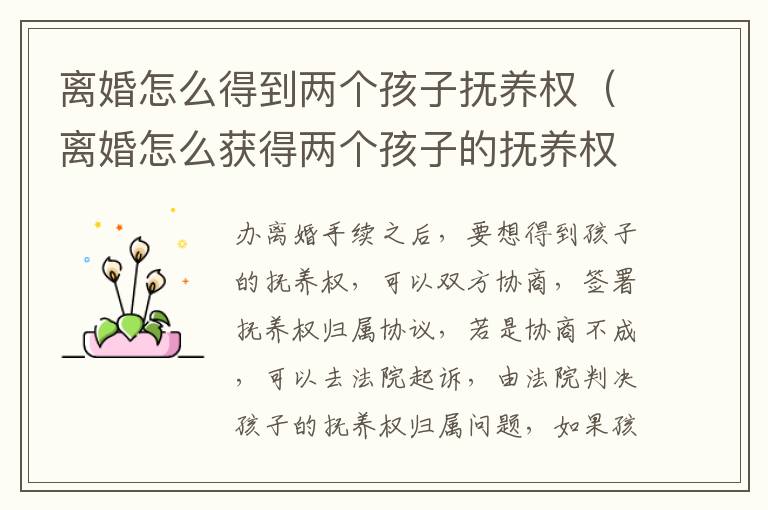 离婚怎么得到两个孩子抚养权（离婚怎么获得两个孩子的抚养权）