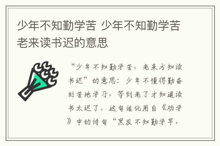 少年不知勤学苦 少年不知勤学苦老来读书迟的意思