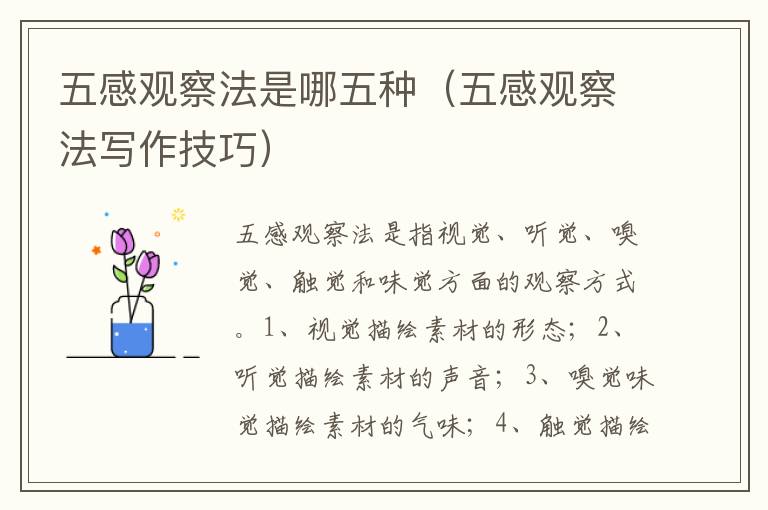 五感观察法是哪五种（五感观察法写作技巧）