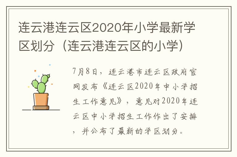 连云港连云区2020年小学最新学区划分（连云港连云区的小学）